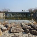 쉼표고성 | 울산바위를 품은 7,000평의 예술 정원 ✨ 속초·고성 여행 필수 코스 '바우지움 조각미술관' 힐링 후기