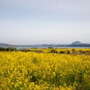 도정보건진료소 이미지