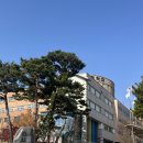 백지연식당 | [연수기록] 2025.11.29.(토) GeoTester 및 디지털 도구를 활용한 지리과 역량 강화 | 단원고등학교