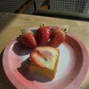 행복한농장 | 3.14 행복한 농장 벤치마킹