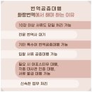 일산번역，공증