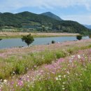 향-고향의 정 이미지