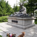 우리 집 개들과의 산책(서울 강서구 구암공원/龜巖公園) 이미지