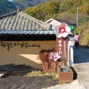 근혜농장 이미지