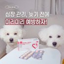 모두 | 모두헤파카디오 리뉴얼 후기 강아지심장영양제 추천