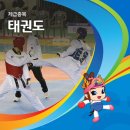 용인대 SK 태권도 네이버블로그