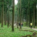 절물자연휴양림 이미지