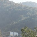 고암로 네이버블로그