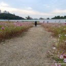 호수공원주유소 이미지