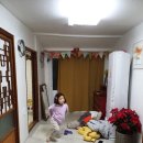 내도레미민박 | 19' 11월 너무나도 제주스런 민박집 <내도레미>