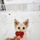 씻고놀개 이미지