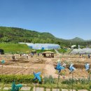 지지농장 이미지