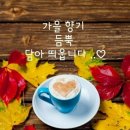 초동자판기