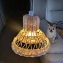 라탄공예 이미지