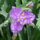 연인산스토리 이미지