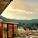 스테이 선광 이미지