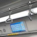 트리하우스 운서 이미지