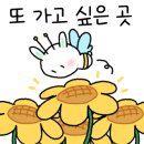동네맛집 뼈구이집 구의점 이미지