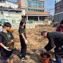 여주 능서초등학교 - 특수학급과 일반학급, 블루베리 묘목 심기로 서로를 이해하다 이미지