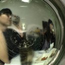 Holly Molly 네이버블로그