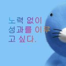 [🇦🇺호주 워홀] 브리즈번 트럭스쿨 후기 - 호주에서 포크리프트 자격증 따기!