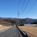 효석문학100리길 제5-2구간 이미지