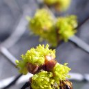 노닥노닥 이미지