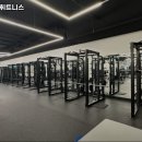 팀마린 휘트니스 이미지