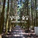 삼다수숲길 1코스 이미지