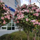 여수소호동우체국 이미지