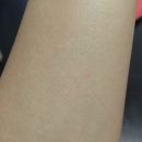 에너라인 | 고보습 바디로션, 아비노 스킨 릴리프 모이스춰라이징 로션