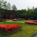 노고산갈비 이미지