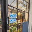 ㈜커피명가 라핀카 | 만촌동 딸기케이크 맛집 &#39;커피명가 라핀카&#39; 카공/작업하기 좋은 곳