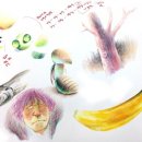 영원한미소&황금박쥐미술만화 이미지