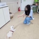 구이초등학교 이미지