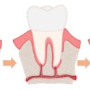 신종호치과의원 이미지