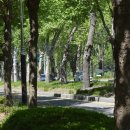 청주가로수길 이미지