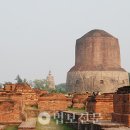 수보리