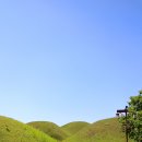 드림힐 모텔 | 20140503-06. 경주여행(&amp;대구) - 봉황대, 노서리고분군, 대릉원, 첨성대, 계림, 황룡사지, 분황사...