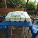 정 농원 이미지