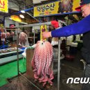 포항죽도어시장 이미지