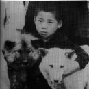 진도세탁소 이미지