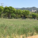 논공공단주유소 이미지