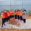 도림농장 이미지