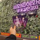 비밀의화원대학로