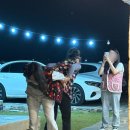 낭만스테이 이미지