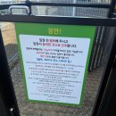 행복하게 해줄개 이미지