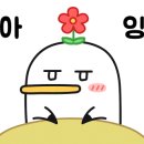 어뉴즈헤어