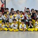 용인대 도담 태권도장 이미지