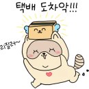 홈마트 정육 네이버블로그